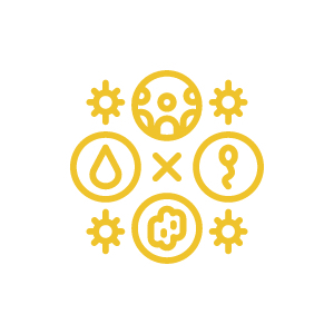 Antimicrobial stewardship icon