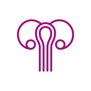Vaginal microbiota logo